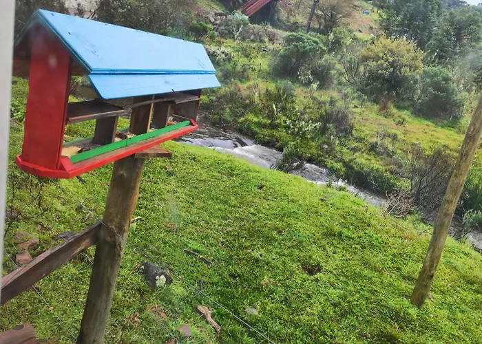 Eco Kaza